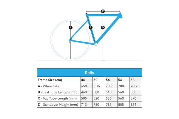 Tern Rally