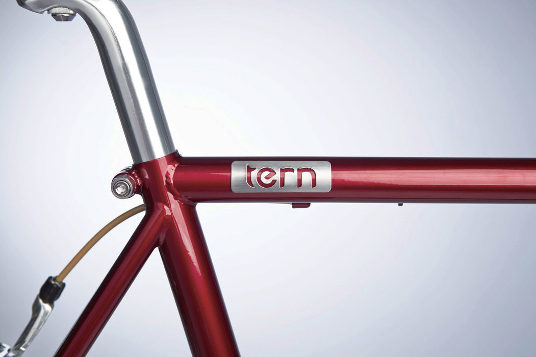 Tern Rally